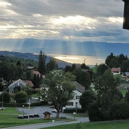 Balcony Of Lake Geneva 톨롱 외부 사진